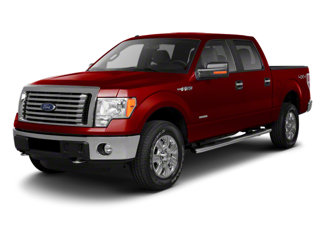 2010 Ford F-150 XLT for sale in New Ulm, MN