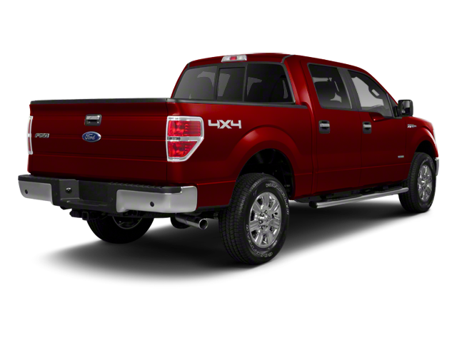 Used 2010 Ford F-150 XLT with VIN 1FTFW1EV3AFB20876 for sale in Sleepy Eye, Minnesota