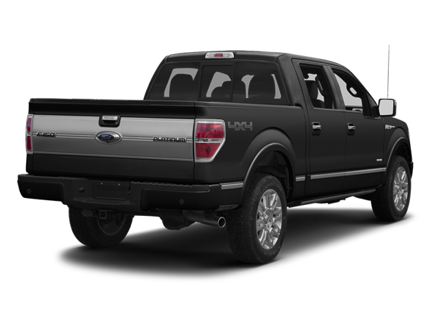 Used 2013 Ford F-150 Platinum with VIN 1FTFW1EF1DFA74445 for sale in Sleepy Eye, Minnesota