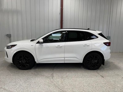 2024 Ford Escape ST-Line Elite