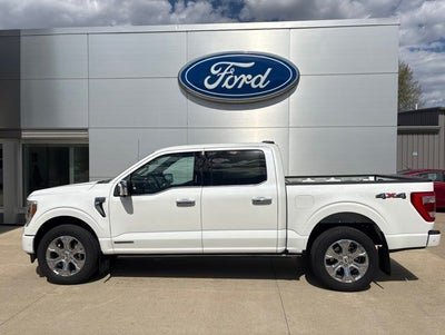 2022 Ford F-150 Platinum
