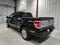 2013 Ford F-150 Platinum
