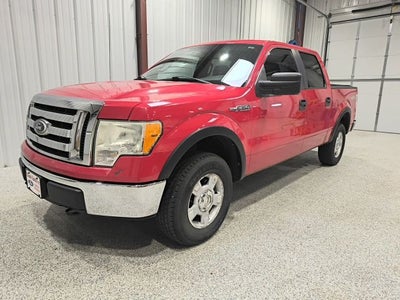 2010 Ford F-150 XLT
